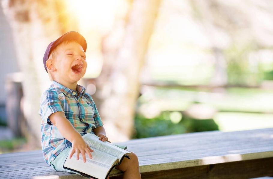 Dieser Slider hat nur ein Bild