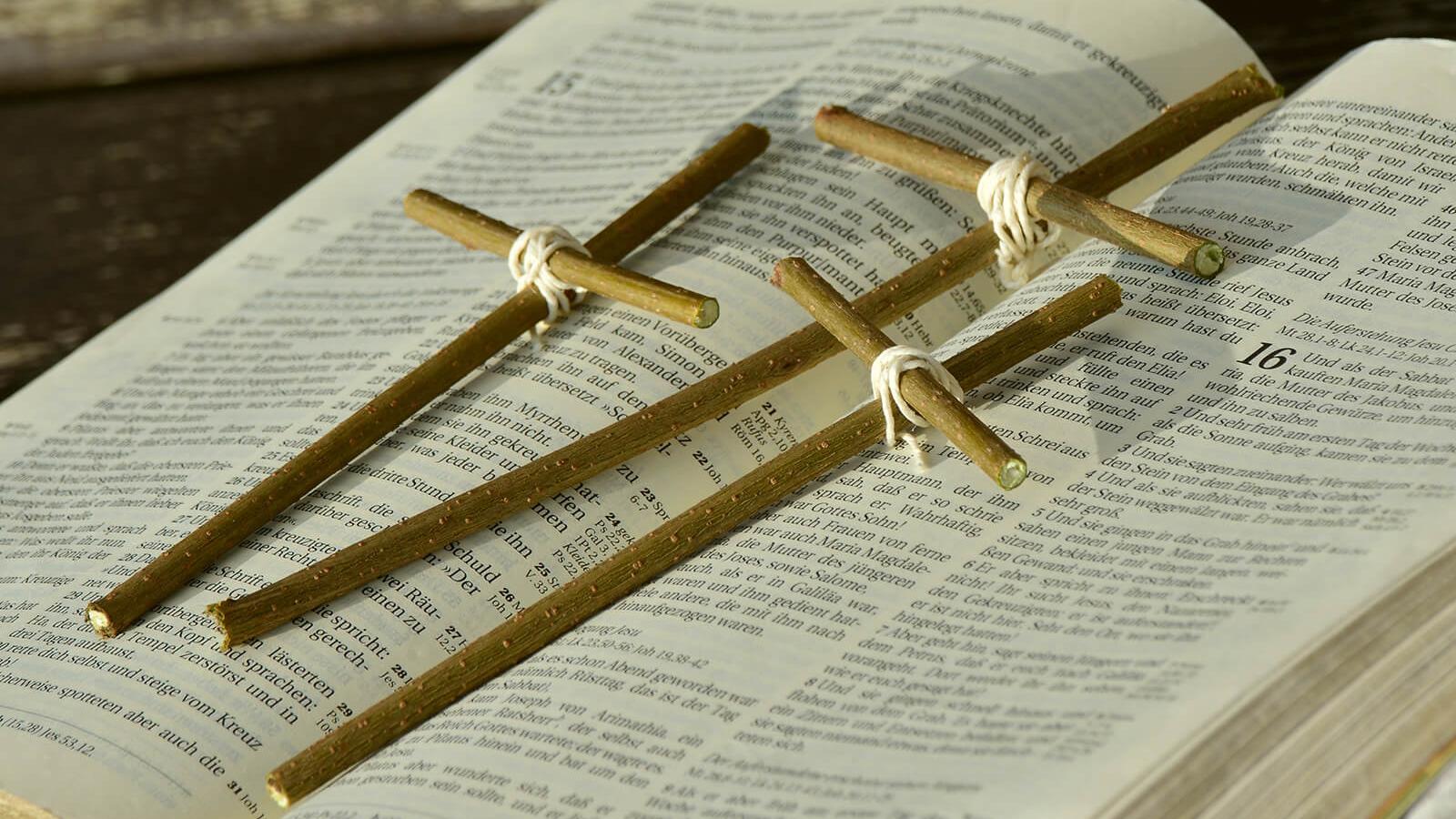 (c) CC0 1.0 - Public Domain (von unsplash.com)