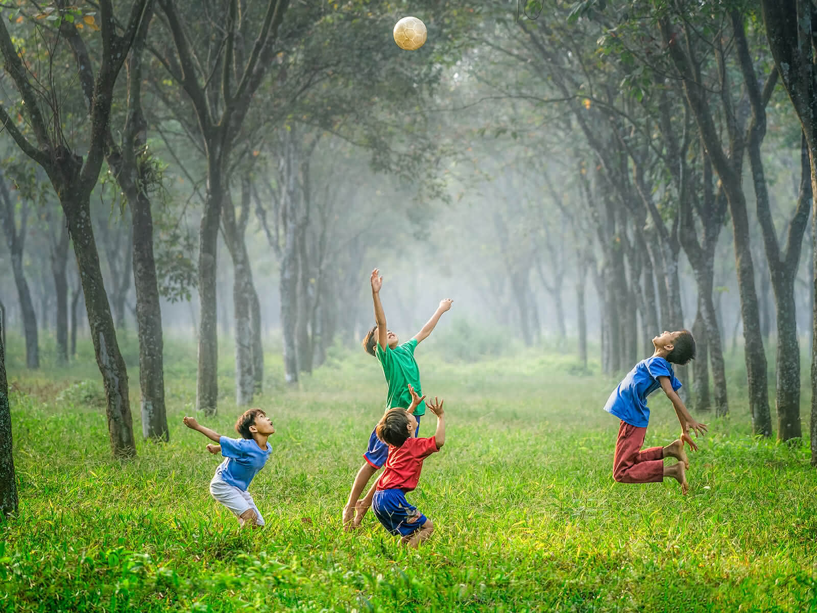 Spielende Kinder auf einer Wiese